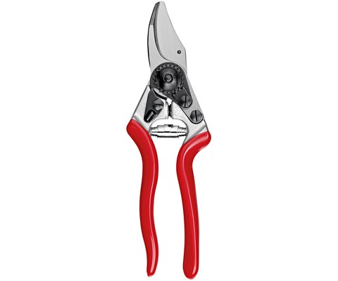 Beskjæringssaks 6 Ergo