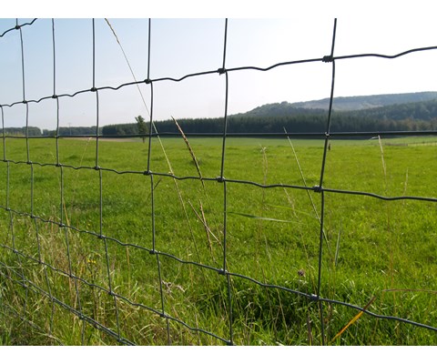 Netting 120-10-15 3,7 mm 50 m