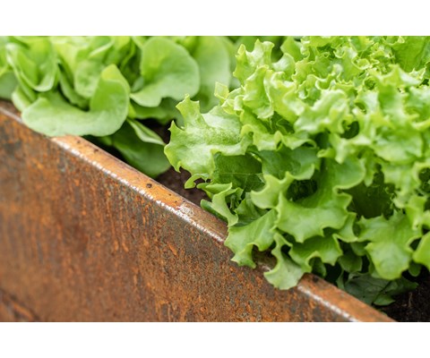 Pallekarm metall 120x 80 cm