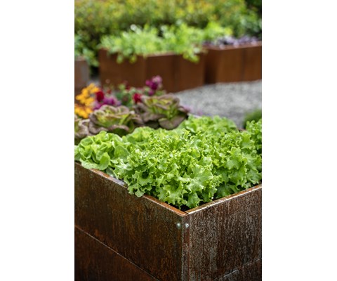 Pallekarm metall 120x 80 cm