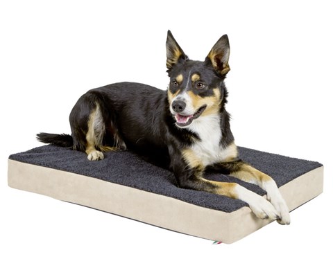 Hundemadrass 50x80 cm