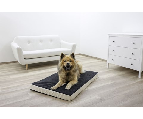 Hundemadrass 50x80 cm