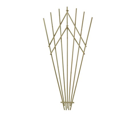 Espalier tre vifte grønn H200 cm