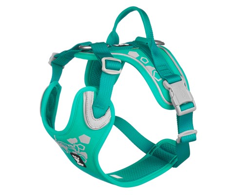 Hundesele Weekend Warrior turkis
