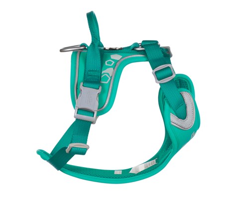 Hundesele Weekend Warrior turkis