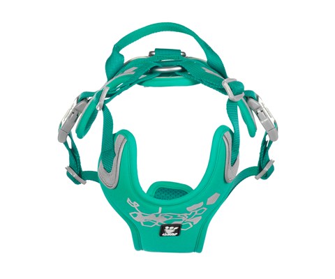 Hundesele Weekend Warrior turkis