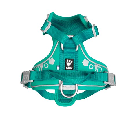 Hundesele Weekend Warrior turkis