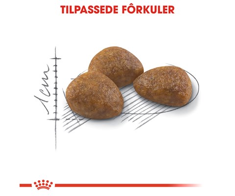 Kattemat Royal Canin Outdoor 10 kg