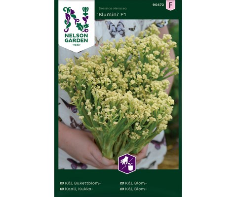 Frø blomkål Blumini