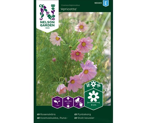 Frø pyntekorg Apricotta