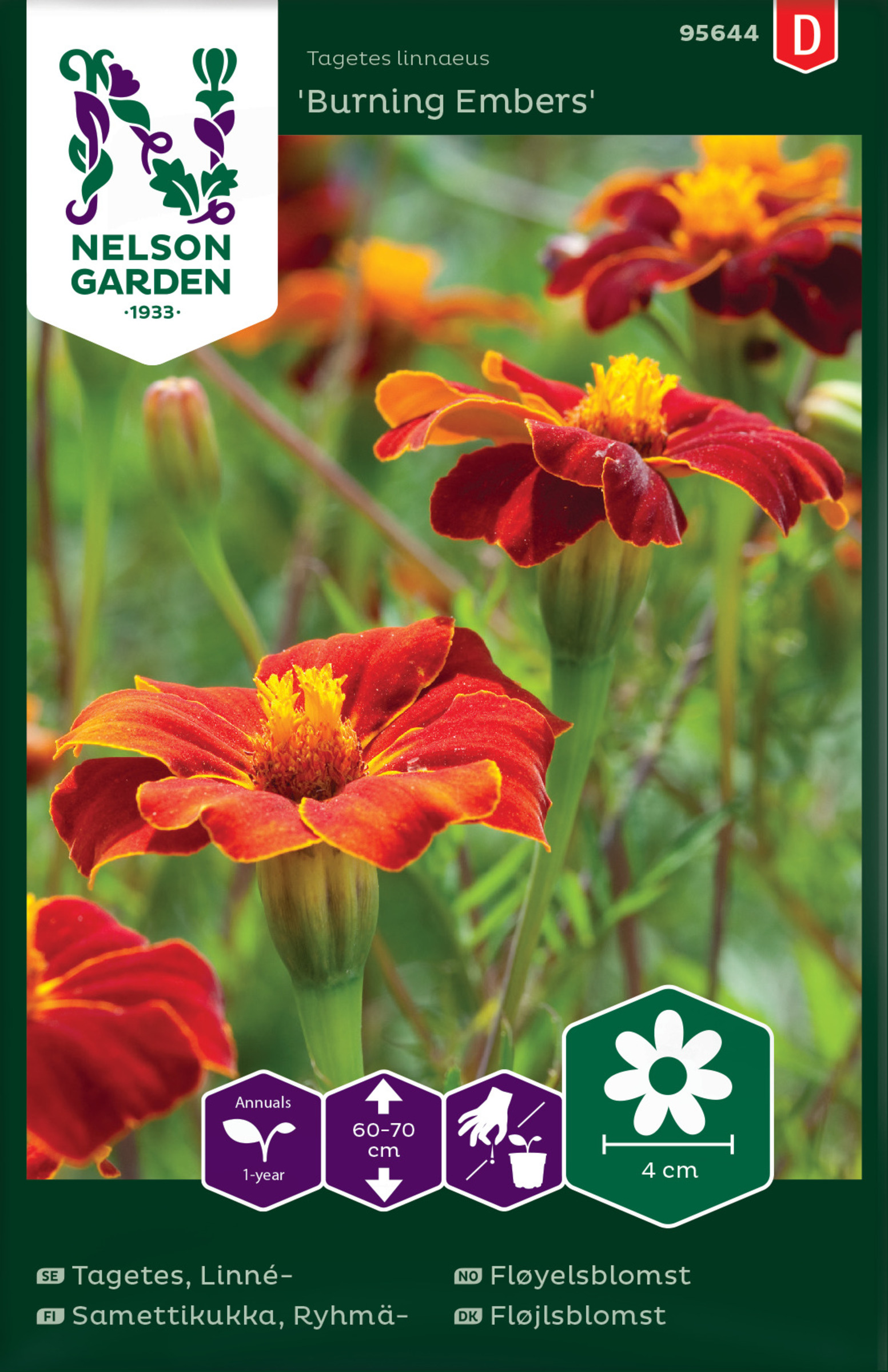 Frø fløyelsblomst