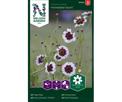 Frø purpurøye Incredible! Swirl