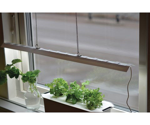 Plantelys LED lyslist