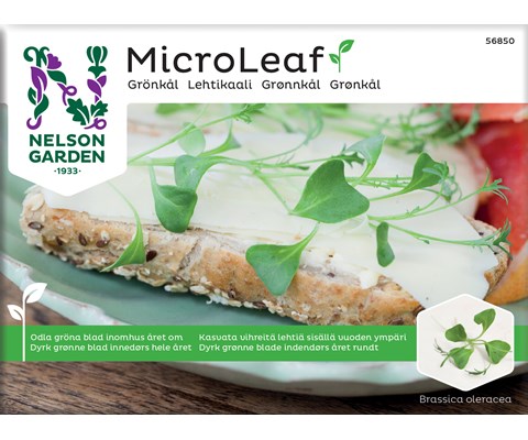 Frø grønnkål MicroLeaf