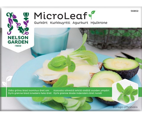 Frø agurkurt MicroLeaf
