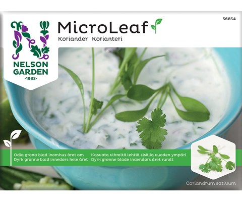 Frø koriander MicroLeaf