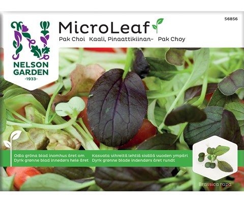 Frø Pak Choi MicroLeaf