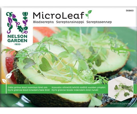 Frø sareptasennep MicroLeaf