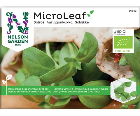 Frø solsikke MicroLeaf økologisk