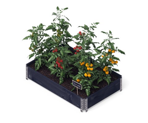 Pallekarm sort