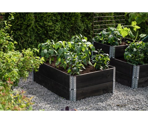 Pallekarm sort