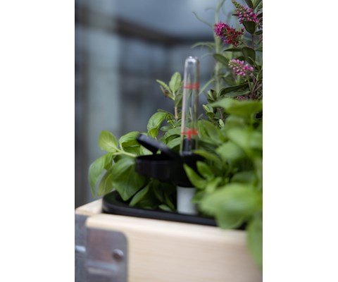 Selvanningssystem til pallekarm 55 x 36,5 cm