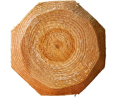 Gjerdestolpe impregnert halv 10x180 cm