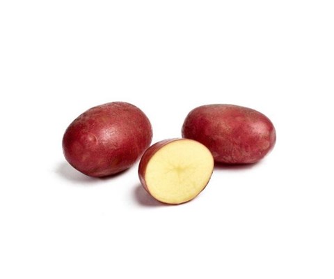 Settepotet Nansen 2,5 kg