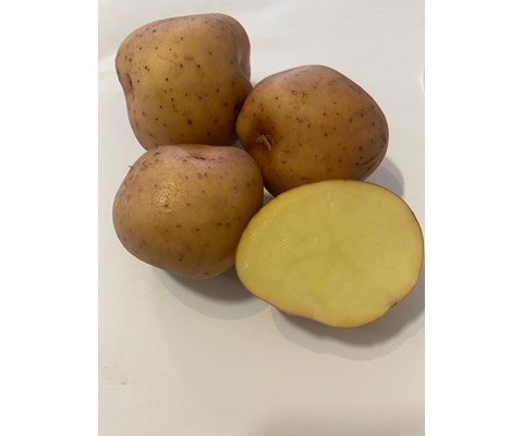 Settepotet Kerrs Pink 2,5 kg