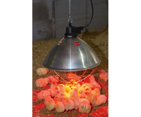 Husdyrarmatur 250W