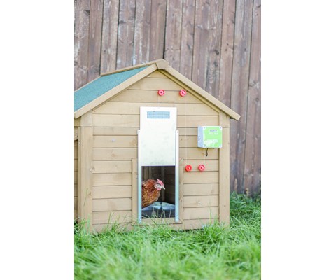 Automatisk hønsedør