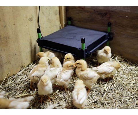 Varmeplate 12V 30x30 cm