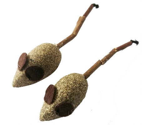 Katteleke Wouaoy Matatabi mus