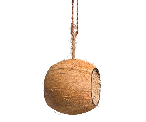 Fuglemat kokosnøtt hel
