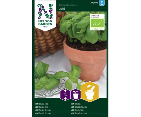 Frø basilikum Loki økologisk