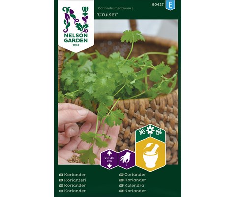 Frø koriander Cruiser   