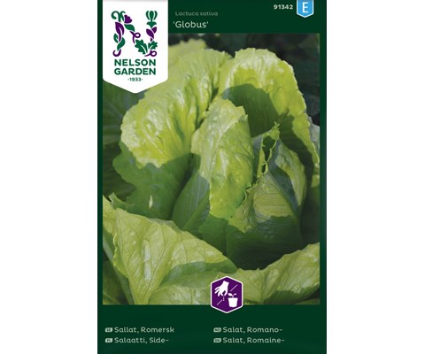 Frø romanosalat Globus   