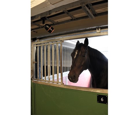 Overvåkningskamera Farmcam Mobility S