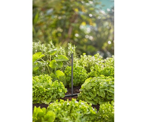 MDS forlengerrør sprededyse