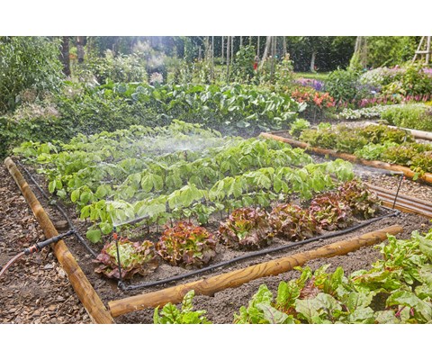 MDS startsett kjøkkenhage