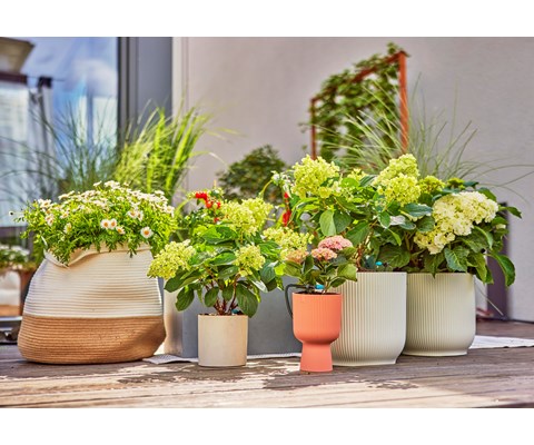 MDS startsett terrasse