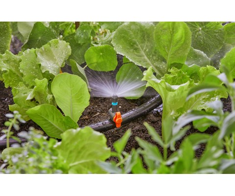 MDS sprederdyse 180°