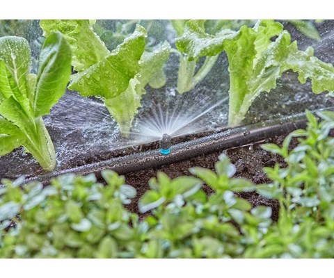 MDS sprederdyse 180°