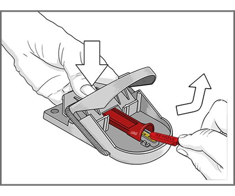 Musefelle Supercat 4+2