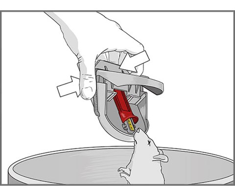 Musefelle Supercat 4+2