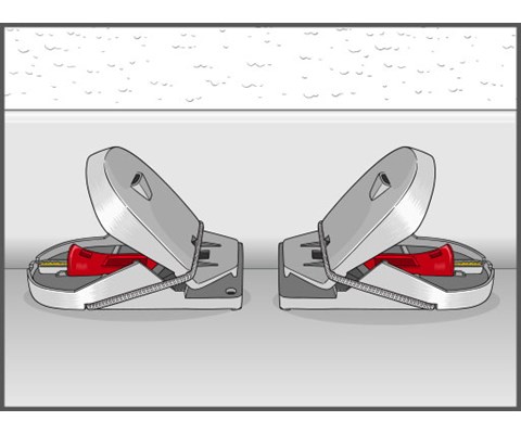 Musefelle PRO Supercat 6+2