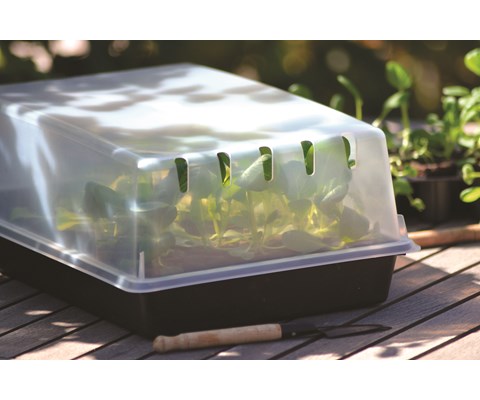 Lokk til spirekasse B24xL38 cm