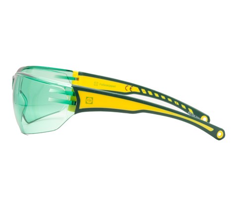 Vernebrille grønn