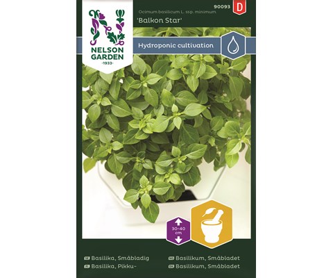 Frø basilikum småbladet Balkon Star Harvy