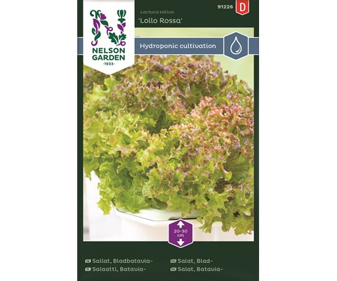 Frø bladsalat Lollo Rossa Harvy
